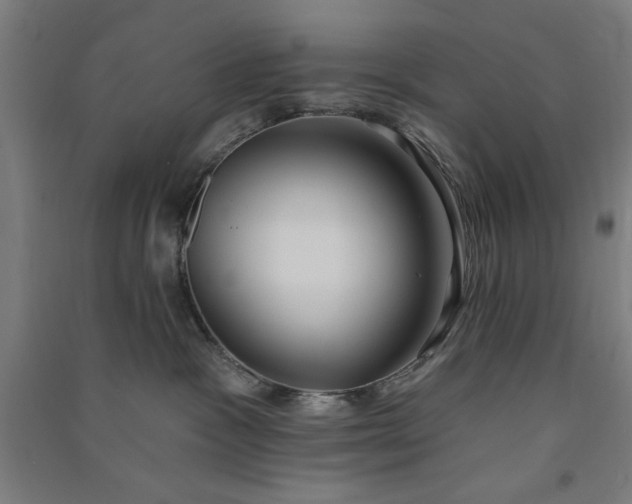 X0000091070333200708201415