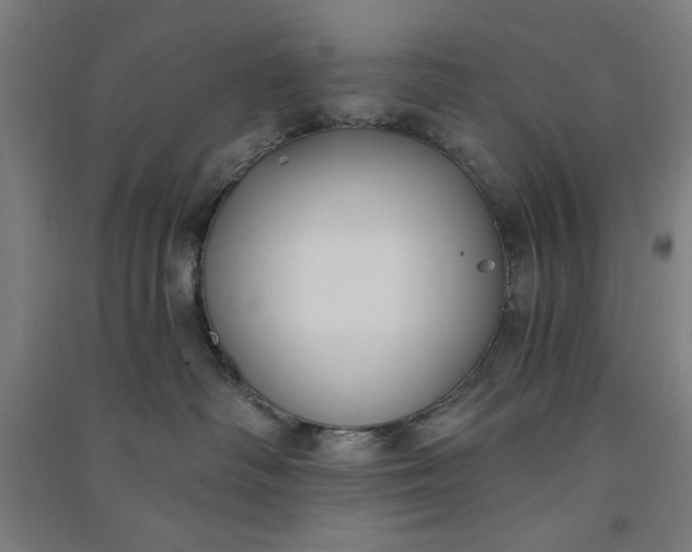 X0000091070334200708201415