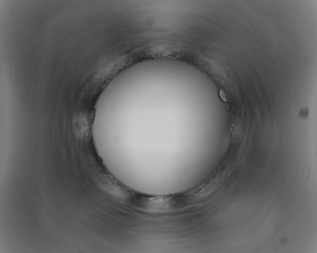 X0000091070335200708201415