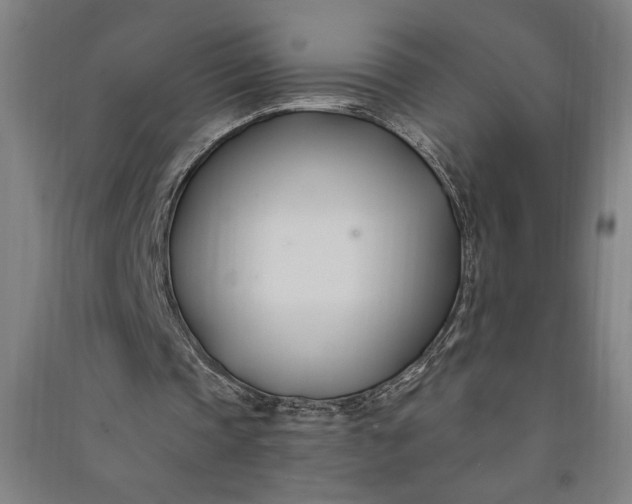 X0000091070337200708201414