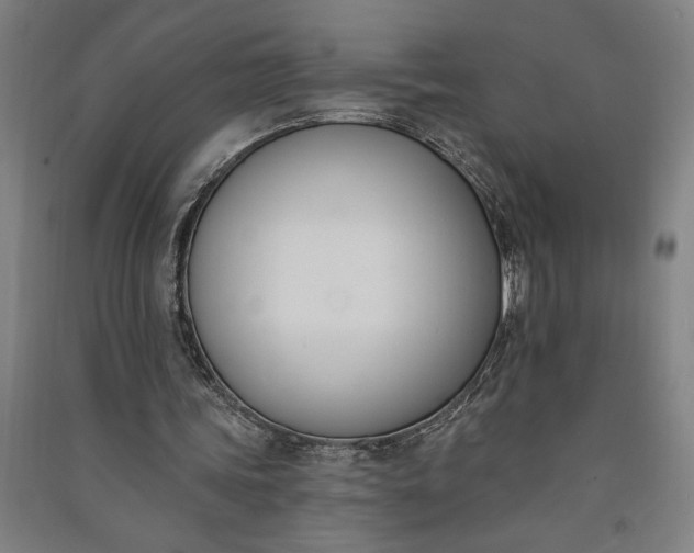 X0000091070339200708201414