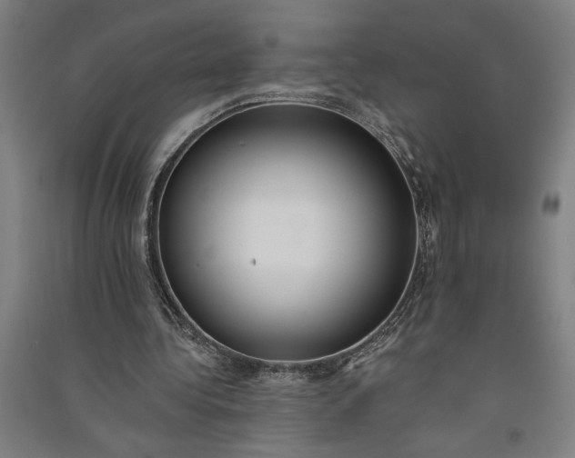 X0000091070340200708201414