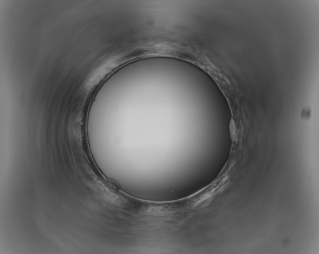 X0000091070341200708201414