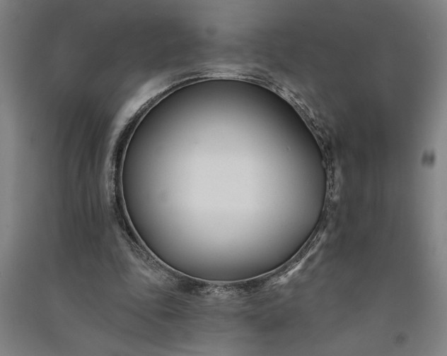 X0000091070343200708201414