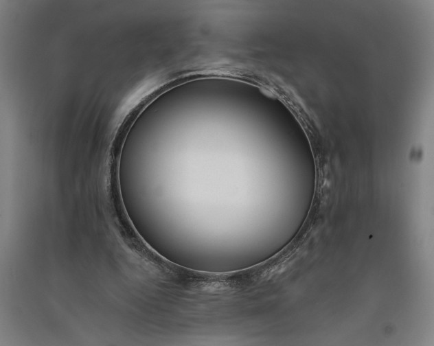 X0000091070344200708201414