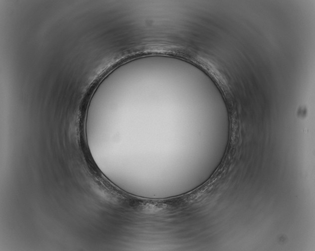 X0000091070346200708201414