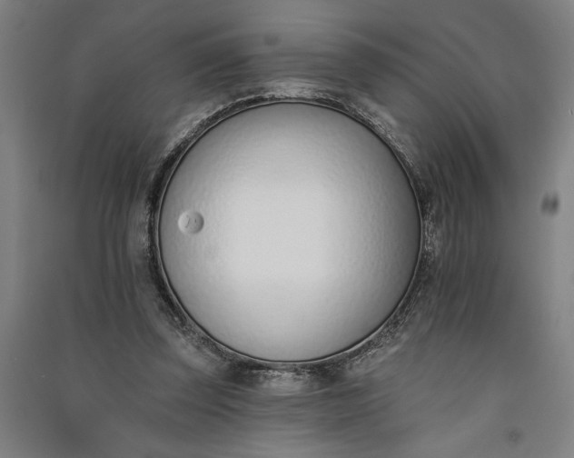 X0000091070347200708201414