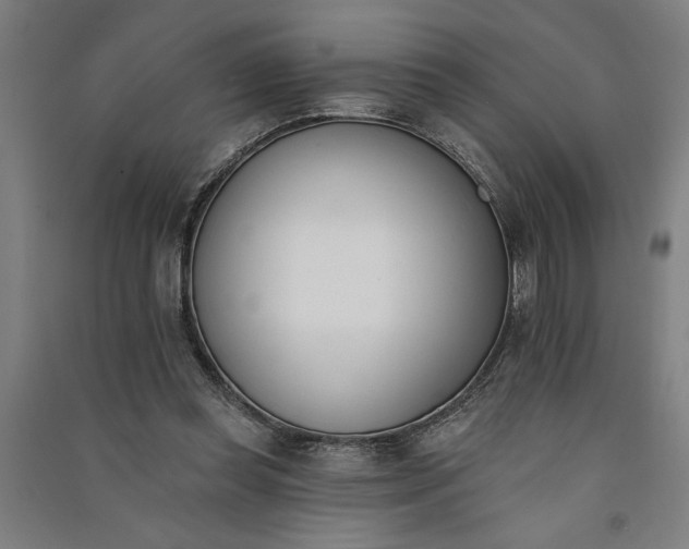 X0000091070349200708201414