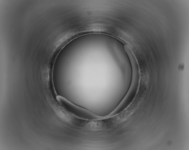 X0000091070350200708201414