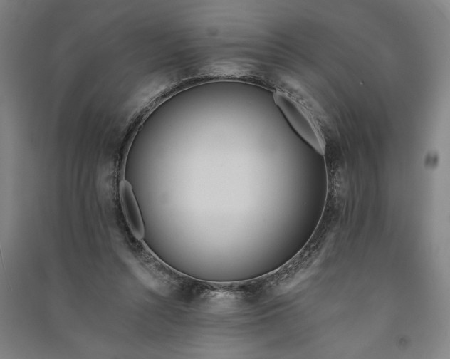 X0000091070352200708201415