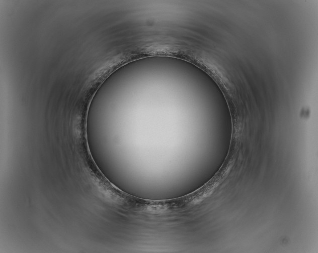 X0000091070353200708201415