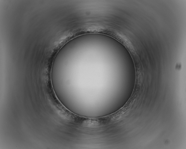 X0000091070354200708201415