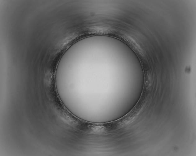 X0000091070355200708201415