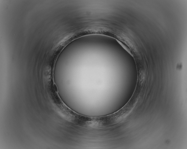 X0000091070356200708201415