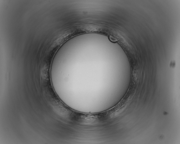 X0000091070359200708201415