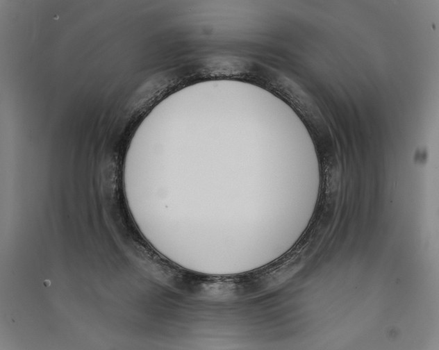 X0000091070362200708201415