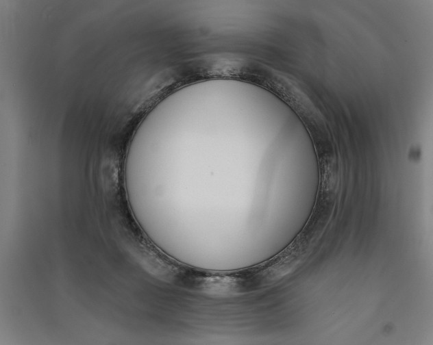 X0000091070363200708201415