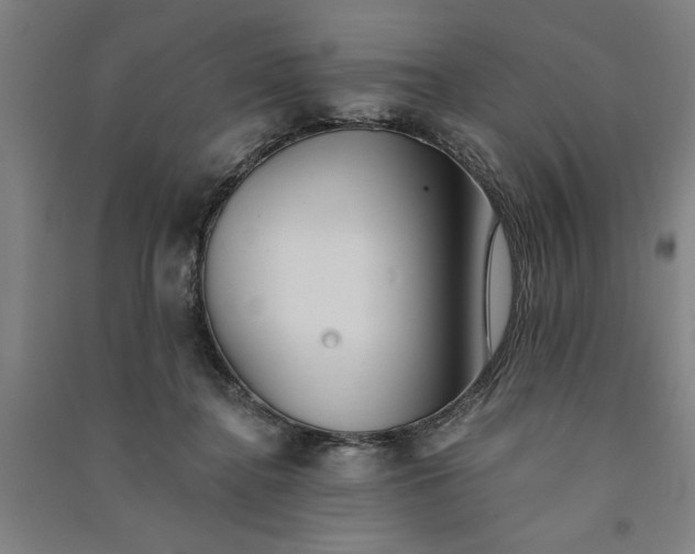 X0000091070364200708201415