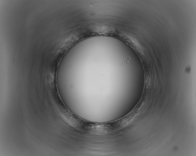 X0000091070365200708201415