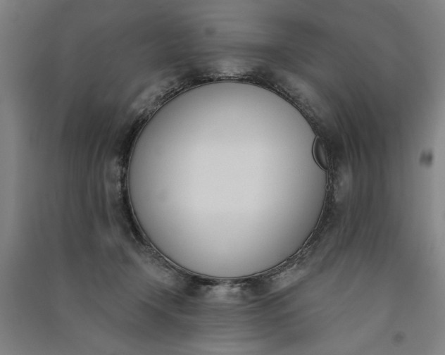 X0000091070366200708201415