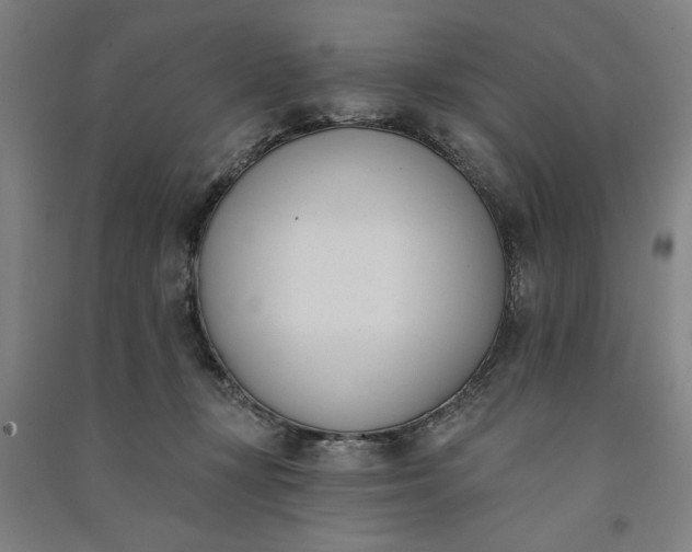 X0000091070367200708201415