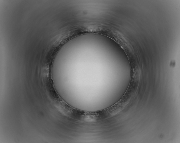 X0000091070368200708201415