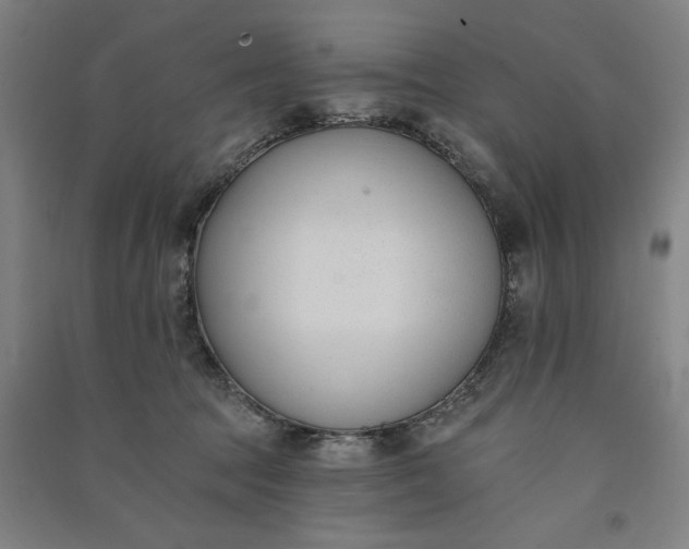 X0000091070369200708201415