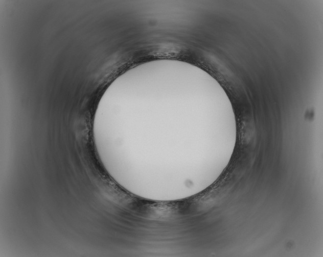 X0000091070370200708201415