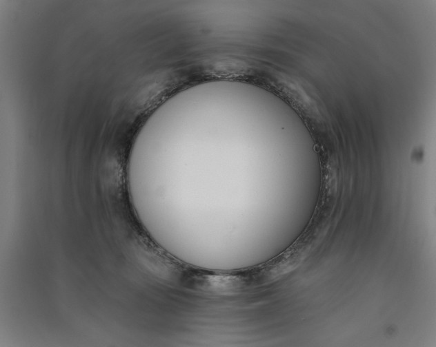 X0000091070371200708201415