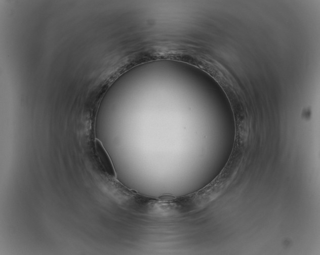 X0000091070372200708201415