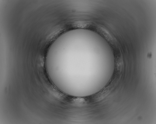 X0000091070374200708201415