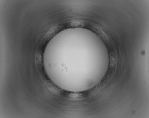 X0000091070375200708201415