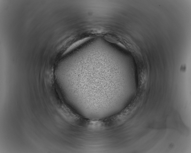 X0000091070376200708201415