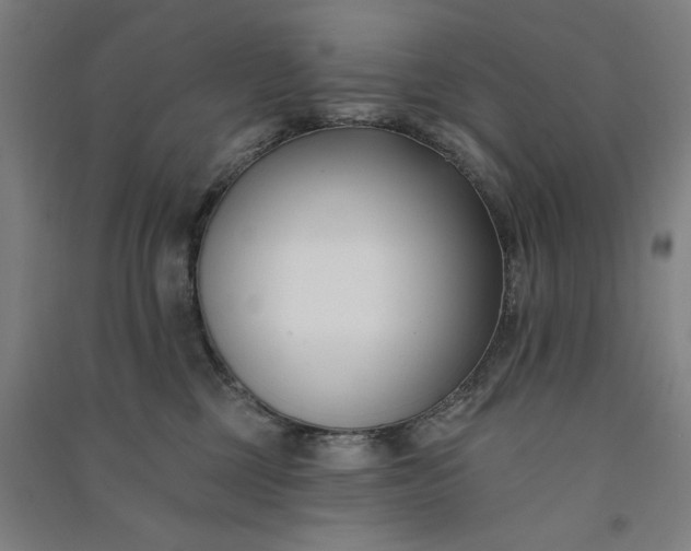 X0000091070377200708201415