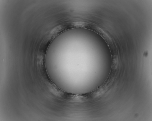 X0000091070379200708201415