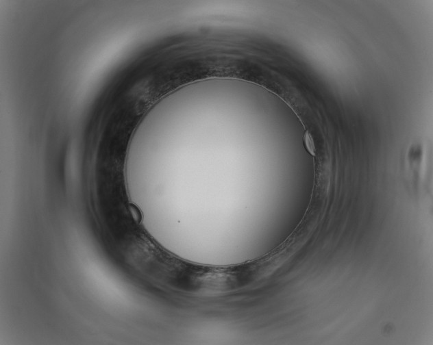 X0000091070383200708201415