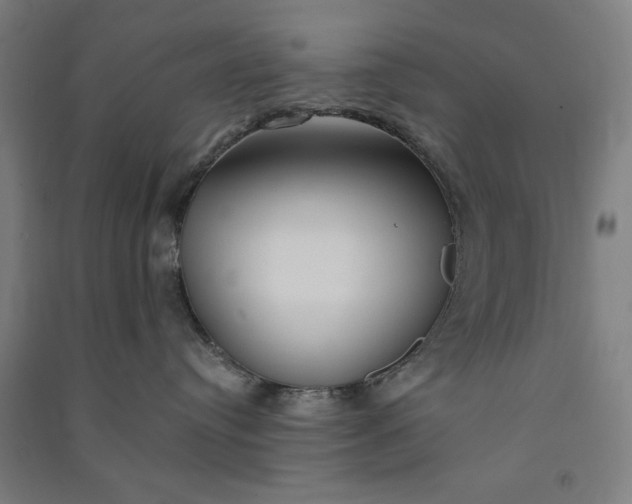 X0000091070384200708201415