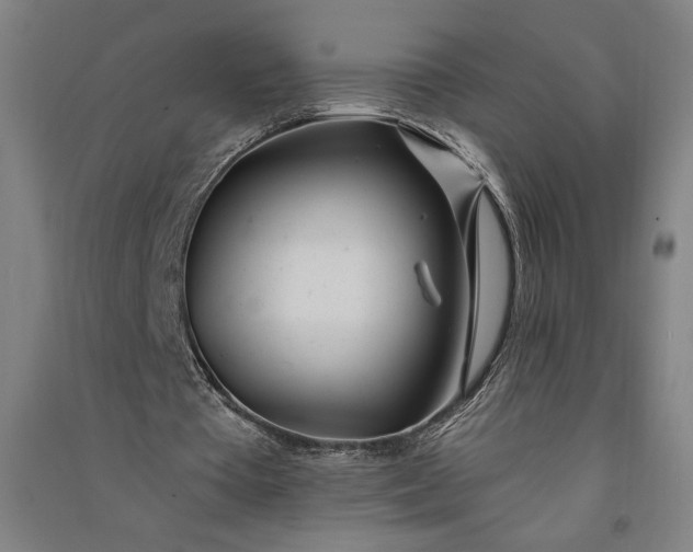 X0000091070385200708201414