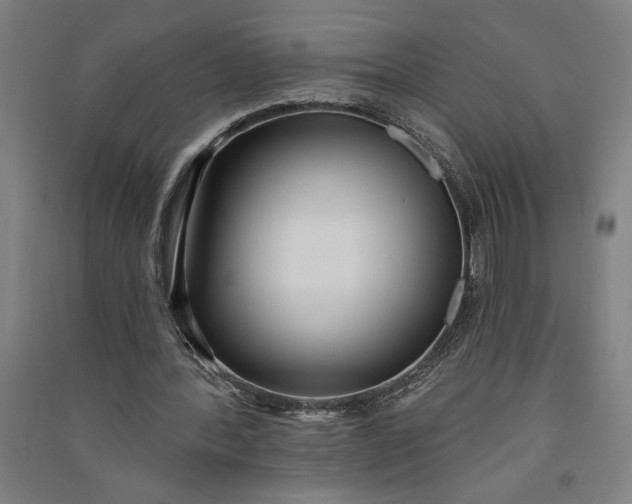 X0000091070388200708201414