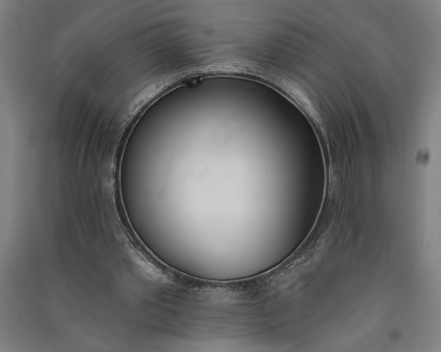 X0000091070389200708201414