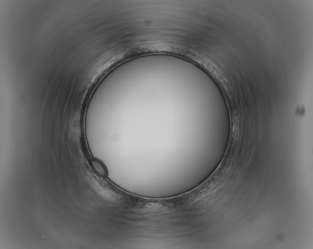 X0000091070390200708201414