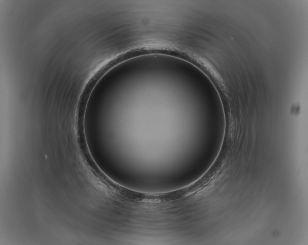 X0000091070391200708201414