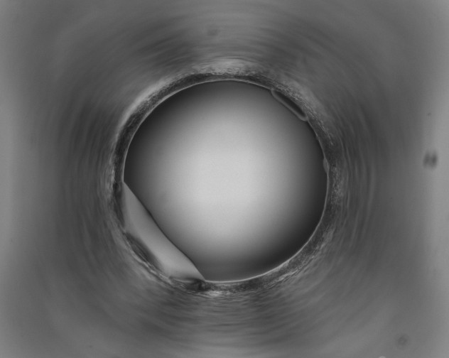 X0000091070392200708201414