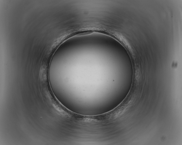 X0000091070393200708201414