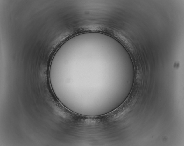 X0000091070394200708201414