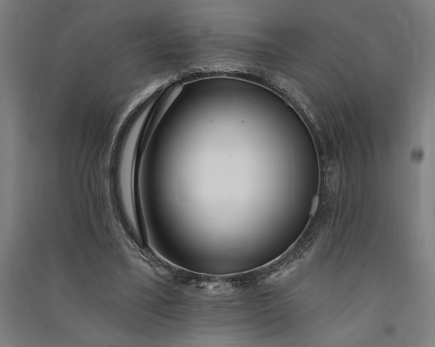 X0000091070395200708201414