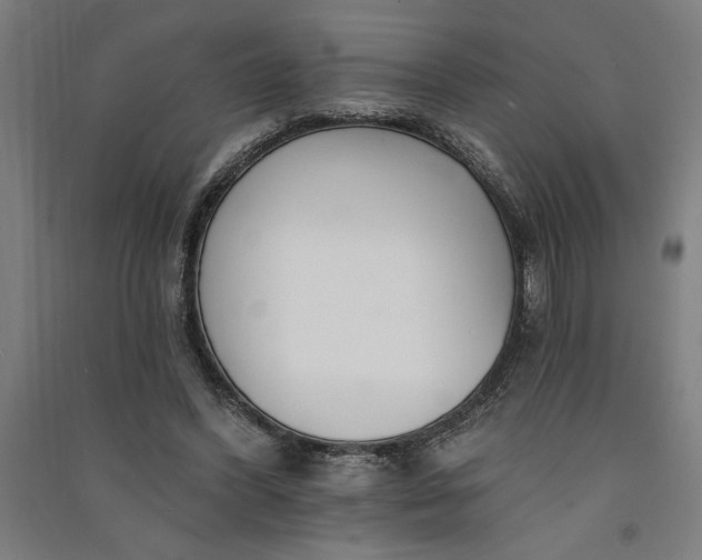 X0000091070396200708201414