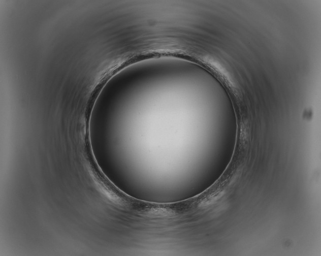 X0000091070397200708201414