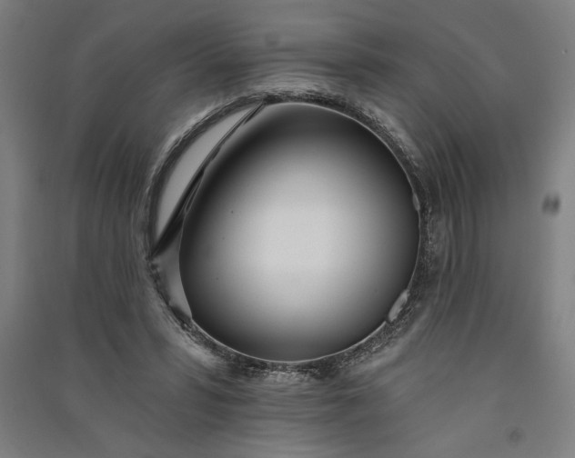 X0000091070399200708201414