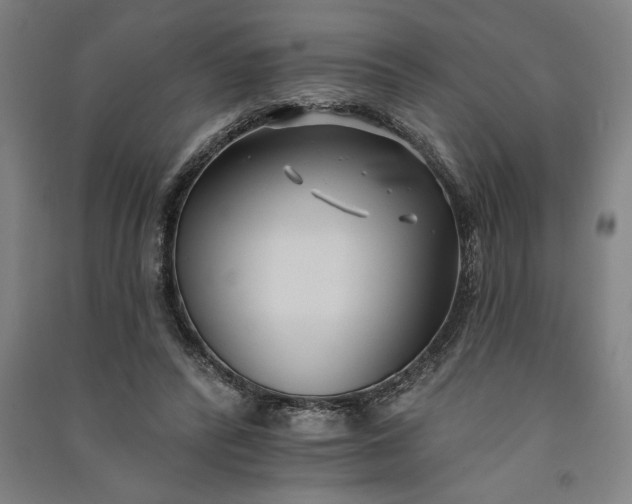 X0000091070400200708201414